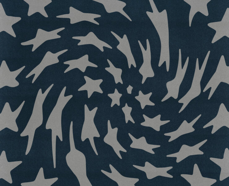 Toro y Moi – Hole Erth