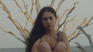 Everything About: Magdalena Bay's Album 'Imaginal Disk'